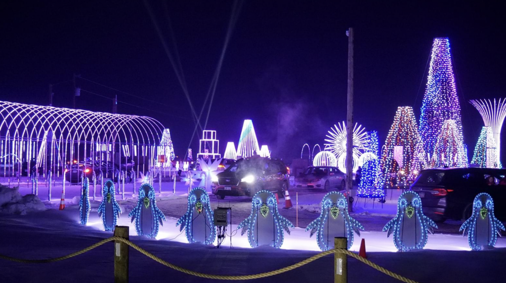 Best Bets: Nov. 24-30